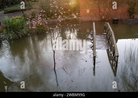 Eton, Windsor, Regno Unito. 11 gennaio 2024. Ghiaccio sulle acque alluvionali a Barnes Pool vicino all'Eton College a Eton, Windsor, Berkshire. Un allarme alluvione rimane in atto per il fiume Tamigi a Eton, Windsor, Berkshire. Fortunatamente i livelli delle acque alluvionali stanno cominciando a diminuire. Credito: Maureen McLean/Alamy Live News Foto Stock