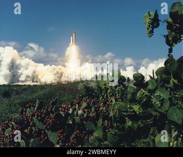 KENNEDY SPACE CENTER, FLA. Lo Space Shuttle Columbia sale una torre dorata in un cielo blu reale ricoperto di nuvole. Il 58th Shuttle decollò dal Launch Pad 39B alle 10 53 10am EDT, iniziando la missione più lunga pianificata nella storia del programma Shuttle due settimane. La missione Extended Duration Orbiter STS-58 permetterà ai sette membri dell'equipaggio di approfondire ampiamente una serie di esperimenti che indagano l'adattamento del corpo umano allo spazio. Spacelab Llife Sciences-2 è la seconda missione dello Spacelab dedicata esclusivamente alla ricerca sulle scienze della vita. Foto Stock