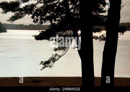 Bowdish serbatoio, George Washington Area di gestione, Rhode Island Foto Stock