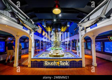 Key West Aquarium, Key West, Florida USA Foto Stock