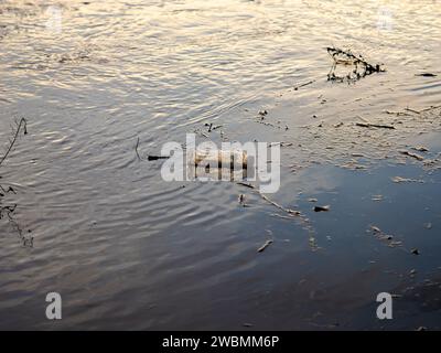 Bottiglia di plastica sporca in un fiume. Inquinamento ambientale lavato in un terrapieno. Corpo d'acqua calmo con rifiuti scartati. Foto Stock