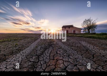 Splendido tramonto in un campo di riso secco con molta consistenza nel fango, con un cottage con un albero e il sole che si nasconde all'orizzonte, Sueca, Valencia Foto Stock