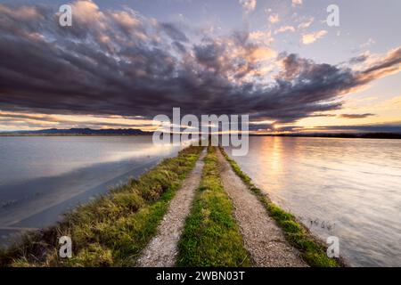 Paesaggio con campi di riso allagati di grande profondità su entrambi i lati e strada rurale al centro della composizione all'orizzonte, Sueca, Valencia, Spagna Foto Stock