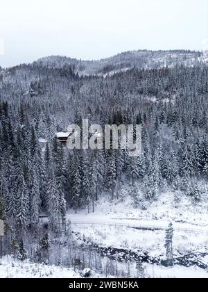 Vista sulla montagna invernale con la foresta innevata. Il tempo nuvoloso grigio Foggy senza sole. Strada innevata. Foto Stock