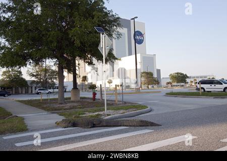 CAPE CANAVERAL, Ban. -- un coccodrillo attraversa il Saturn Causeway al Kennedy Space Center della NASA in Florida, vicino al Vehicle Assembly Building. Gli alligatori possono essere avvistati nei canali di drenaggio e in altre acque che circondano KSC e occasionalmente avventurarsi su strade alla ricerca di nuovi dintorni o compagni. Il centro condivide un confine con il Merritt Island Wildlife Nature Refuge, che è un habitat per più di 310 specie di uccelli, 25 mammiferi, 117 pesci e 65 anfibi e rettili. Foto Stock