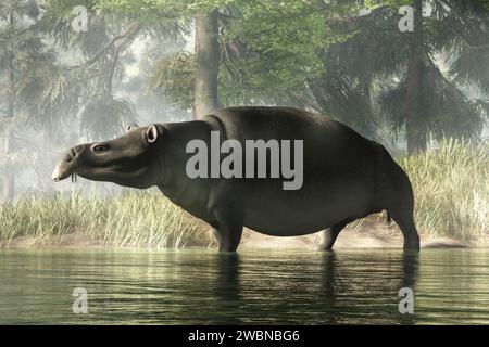 Moeritherium era un mammifero preistorico dell'eocene semi-acquatico. Un tipo di proboscideo, era legato agli elefanti e alle vacche di mare. Rendering 3D. Foto Stock