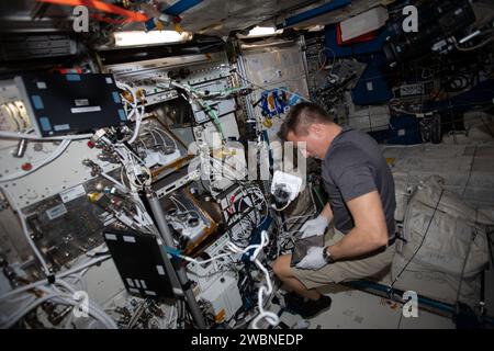 Iss063e001867 (22 aprile 2020) --- astronauta NASA e comandante della Expedition 63 Chris Cassidy lavora all'interno del modulo Columbus Laboratory per la manutenzione dell'hardware di ricerca botanica DEGLI STAGNI Veggie. Foto Stock