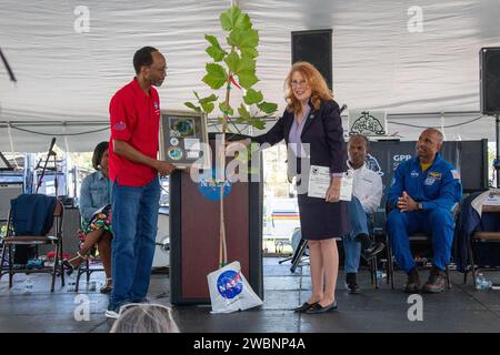 Un Sycamore americano 'Moon Tree' è stato presentato al direttore del Langley Center Clayton Moore da Rosemary Roosa della Moon Tree Foundation durante l'Open House di Langley della NASA, a cui hanno partecipato oltre 37.000 persone e con l'Annual 5K Moon Walk Run con il pilota X59 Nils Larson e l'astronauta Victor Glover. Foto Stock