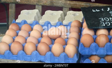 Vetrine di Brecon High Street: Una vetrina che mostra uova fresche di una fattoria locale Foto Stock
