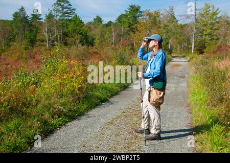 Osservazione degli uccelli lungo il sentiero, Great Swamp Management area, Rhode Island Foto Stock