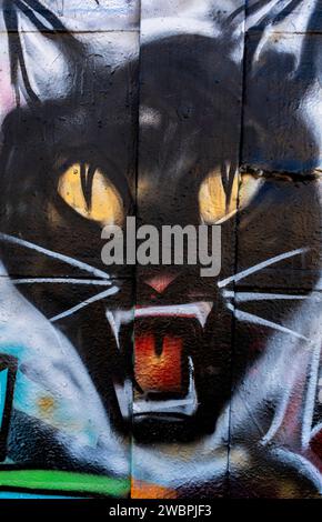 graffiti ad Albuquerque, New Mexico Foto Stock