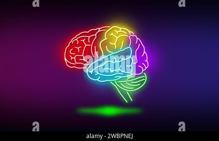 Illustrazione dei lobi del cervello con luce al neon brillante Foto Stock