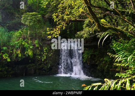 Lussureggianti cascate Haipuaa'ena annidate nella vibrante foresta pluviale di Maui, una pittoresca oasi hawaiana. Foto Stock