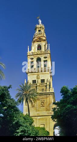 Torre del Alminar, ex minareto, presso la Cattedrale di Mezquita (Moschea-Cattedrale) a Cordova, Andalusia, Spagna Foto Stock