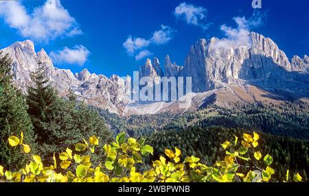 Il Rosengarten nelle Dolomiti e le pareti di arrampicata delle "torri Violette" famose in tutto il mondo viste da Tiers. Alto Adige, Italia Foto Stock