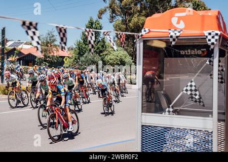 Adelaide, Australia. 12 gennaio 2024. Foto di Zac Williams/SWpix.com - 12/01/2024 - Ciclismo - 2024 Women's Tour Down Under - Stage 1: Da Hahndorf a Cambelltown (93 km) - Brodie Chapman, Lidl Trek. Credito: SWpix/Alamy Live News Foto Stock