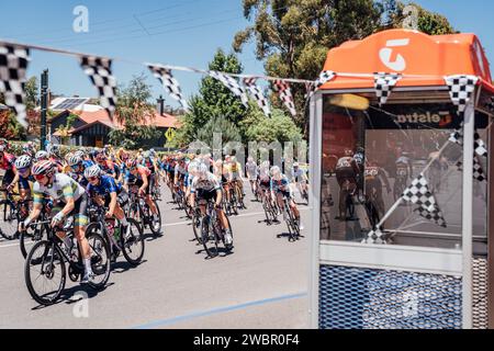 Adelaide, Australia. 12 gennaio 2024. Foto di Zac Williams/SWpix.com - 12/01/2024 - Ciclismo - 2024 Tour femminile Down Under - fase 1: Da Hahndorf a Cambelltown (93 km) - Sarah Roy, Team Australia. Credito: SWpix/Alamy Live News Foto Stock