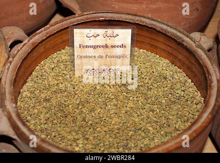 Un vaso di argilla pieno di semi di fieno greco naturale. Foto Stock