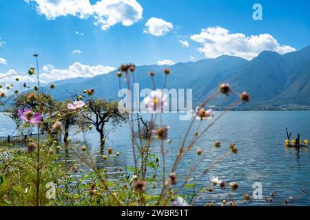 Paesaggio del lago di Erhai, situato a Dali, Yunnan, Cina. Foto Stock