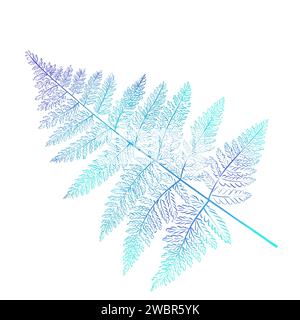 Ciuffo di felce blu acquerello. Foglie tropicali. Piante forestali, botanica. Foto Stock