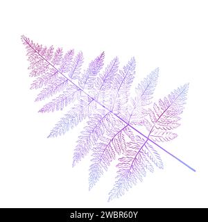 Ramoscello di felce viola acquerello. Botanica forestale. Ideale per il design e la decorazione. Foto Stock