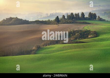 Le dolci colline toscane in primavera. Foto Stock