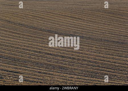 Arato, piantato e Hilling Rows Black-Earth Field. Grana del terreno. Foto Stock