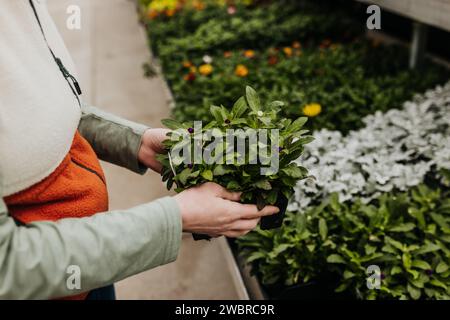 La donna tiene in mano l'impianto in fiore mentre fa acquisti alla serra Foto Stock