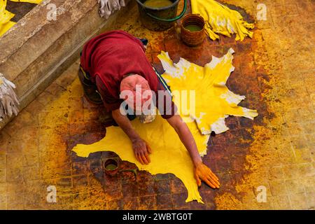 Un uomo che colorava animali si nasconde nella conceria di Chouara Foto Stock