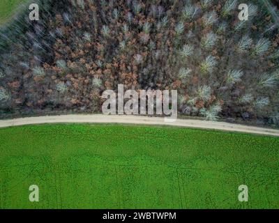 Un sentiero tra una foresta e un campo in inverno, visto dall'alto Foto Stock