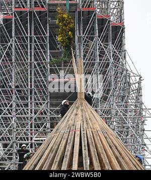 Francia. 12 gennaio 2024. © PHOTOPQR/LE COURRIER DE L'OUEST/JOSSELIN CLAIR ; 12/01/2024 ; PARIGI, 12/01/2024, a l'occasion de la fin du chantier de la charpente de Notre-Dame de Paris par les ateliers Perrault situes dans le Maine-et-Loire, un bouquet de fleurs a ete pose sur le sommet de l'abside de la charpente de Notre-Dame de Paris. (Josselin Clair/le Courrier de l'Ouest) Cattedrale di Notre-Dame de Paris a Parigi, il 12 gennaio 2023, durante la sua ricostruzione dopo l'incendio che distrusse la cattedrale nel 2019. *** Didascalia locale *** credito: MAXPPP/Alamy Live News Foto Stock