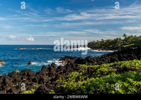 Panoramica costa di Maui con lussureggiante vegetazione tropicale e aspre rocce laviche contro un vivace oceano blu. Foto Stock