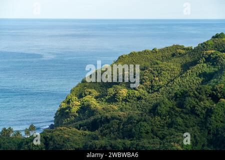 Affacciato sul tranquillo Oceano Pacifico, la costa di Maui è un lussureggiante arazzo di verde che promette una bellezza e un'avventura serene Foto Stock