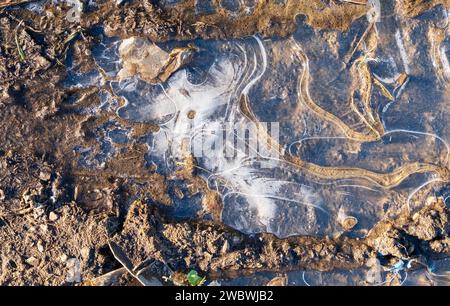 Motivi in ghiaccio congelato su pozzanghera, Regno Unito Foto Stock