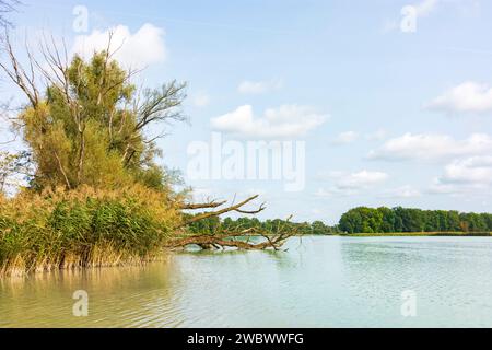 Aschau am Inn: river Inn in Oberbayern, Inn-Salzach, alta Baviera, Bayern, Baviera, Germania Foto Stock