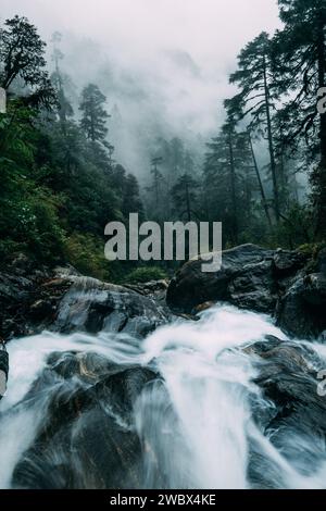 Potente torrente di montagna che scorre attraverso i grandi massi lungo le giungle della foresta pluviale nebbiosa nel Parco Nazionale Makalu Barun vicino all'insediamento Chatra Khola Foto Stock