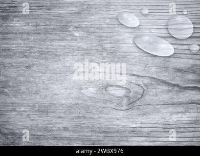 Gocce d'acqua su una tavola di legno vecchia, avvolta e invecchiata, vista dall'alto. Sfondo testurizzato full frame astratto in bianco e nero con spazio per la copia. Foto Stock