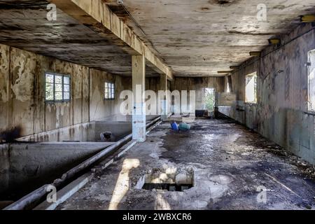 Una camera spaziosa di una vecchia compagnia abbandonata Foto Stock