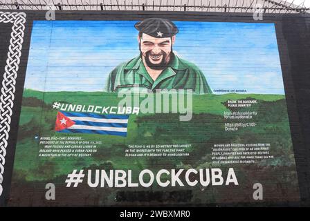 Northumberland Street che corre tra la lealista Divis Street e l'unionista Shankhill Road, conosciuta come il muro Internazionale, con i suoi famosi murales, NI. Foto Stock