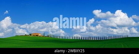 Una singola casa rurale toscana e viale di cipressi, con cielo azzurro, nuvole bianche ad aprile, campo di cereali verde, vista panoramica, Toscana Foto Stock