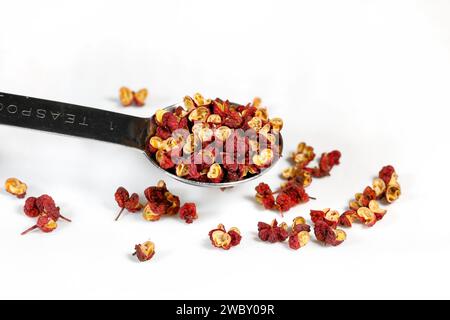 Un cucchiaino di grani di pepe da Hong Pao Sichuan essiccati (Zanthoxylum bungeanum) 大紅袍 花椒 bacche di frassino d'India isolate su uno sfondo bianco. Foto Stock