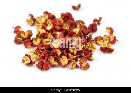 Grani secchi di pepe da Hong Pao Sichuan (Zanthoxylum bungeanum) 大紅袍 花椒 bacche di frassino d'India isolate su uno sfondo bianco. Foto Stock