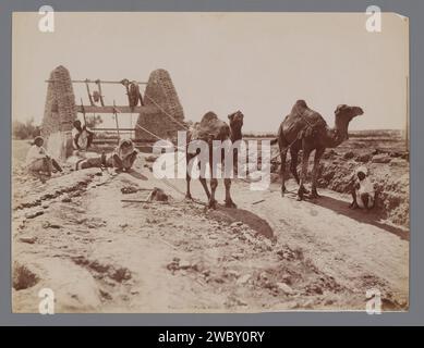 I dromedari sollevano l'acqua da un pozzo in Tunisia, Neurdein Frères, 1863 - 1900 Fotografia Tunisia carta albumen stampa Hoofed Animals: Dromedary. Bene, Tunisia Foto Stock