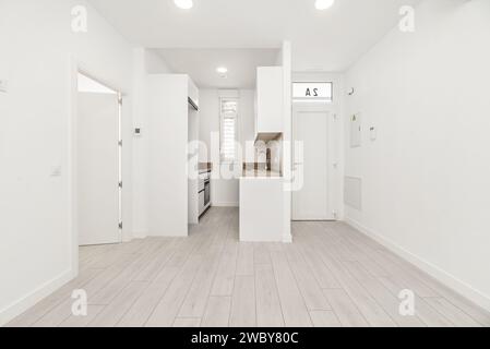 Immagine frontale del soggiorno di una casa tipo loft con spazi aperti con pavimenti in legno chiaro e una piccola cucina a vista arredata Foto Stock
