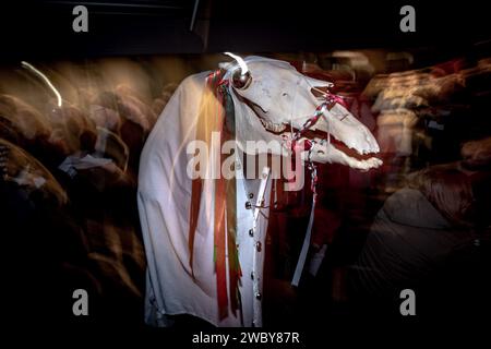 Londra, Regno Unito. 12 gennaio 2024. La tradizione gallese del capodanno «Hen Galan», celebrata il 13 gennaio, porta i membri del London Welsh Centre a visitare il Mari Lwyd intorno ai pub locali della città. Originariamente un'usanza popolare di wassailing fondata nel Galles del Sud intorno al 1800, il Mari Lwyd consiste in un cranio di cavallo decorato con nastri, fissato su un palo e trasportato da un individuo nascosto sotto un sacco. Secondo la tradizione, i Mari Lwyd si avvicinavano a una casa o a un pub e cantavano una canzone con l'ingresso richiesto fino a quando gli abitanti non permettevano l'ingresso alla festa. Crediti: Guy Corbishley/Alamy Live News Foto Stock