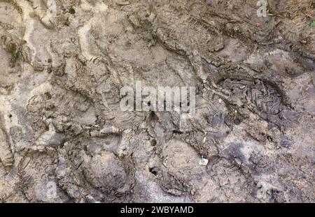 Segnare i piedi sul sentiero della giungla. Stampe di scarpe su ghiaia bagnata o fango nelle zone di montagna all'aperto Foto Stock