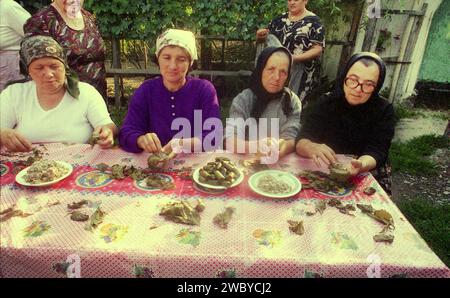 Contea di Vrancea, Romania, circa 1995. Un gruppo di donne locali che preparano i tradizionali rotoli di foglie d'uva per un evento. Foto Stock