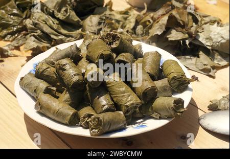 Contea di Vrancea, Romania, circa 1999. Un piatto di involtini di foglie d'uva in preparazione per un evento. Foto Stock