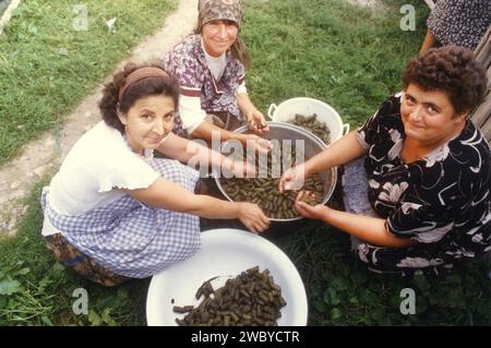 Contea di Vrancea, Romania, ca Un gruppo di donne locali che preparano i tradizionali panini di cavolo per un evento. Foto Stock