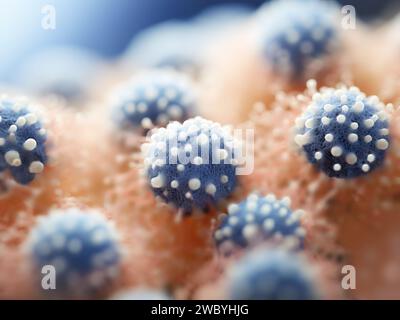 Virus respiratori sincitiali, illustrazione Foto Stock